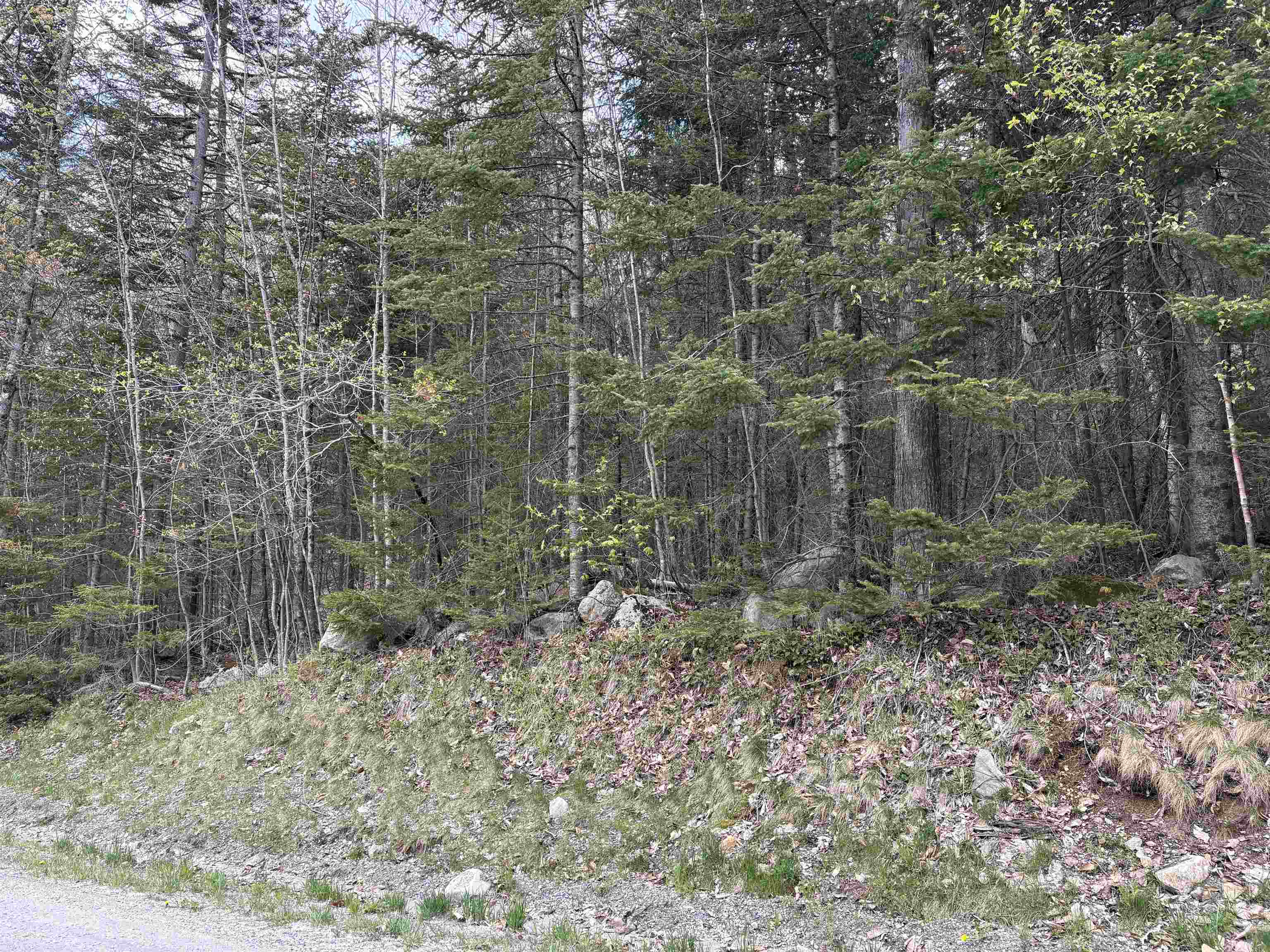 0 East Hill Road Andover, VT 05143 - Photo 12 of 17