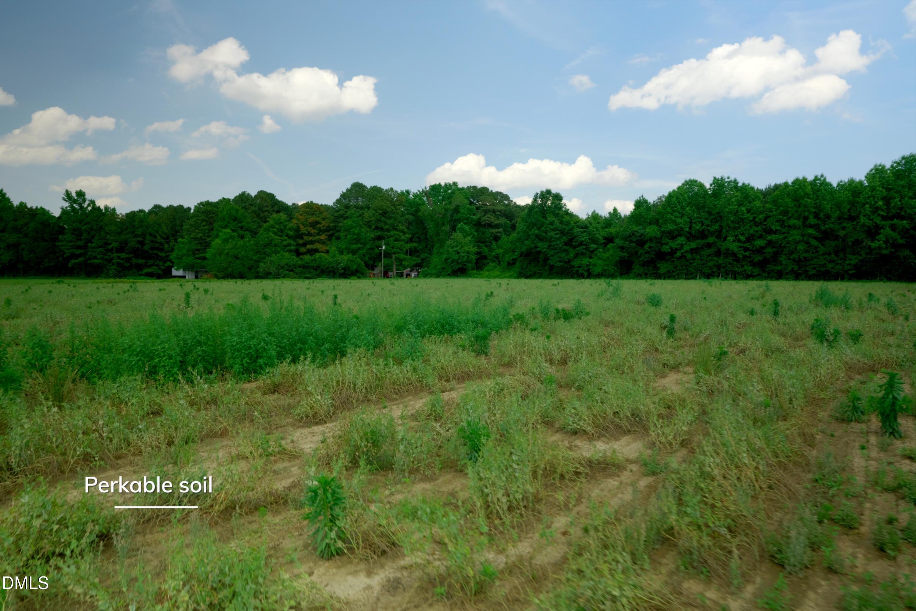1 Bowden Road Turkey, NC 28393 - Photo 28 of 33