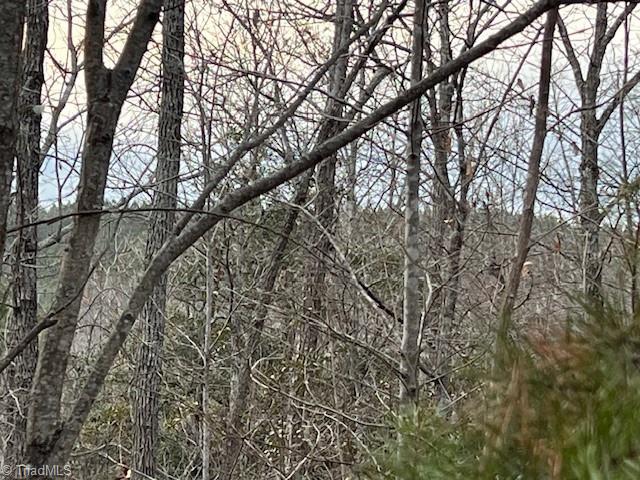 Tbd Tony Holder Road Lowgap, NC 27024 - Photo 2 of 4