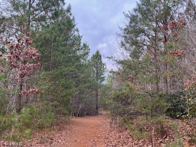Tbd Tony Holder Road Lowgap, NC 27024 - Photo 4 of 4