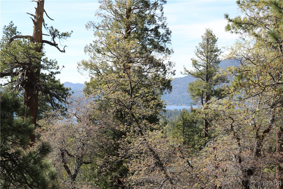 109 Mill Creek Road Big Bear Lake, CA 92315 - Photo 12 of 37