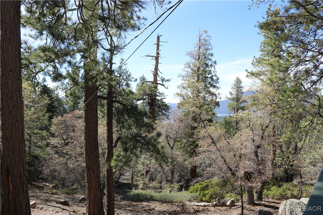 109 Mill Creek Road Big Bear Lake, CA 92315 - Photo 24 of 37