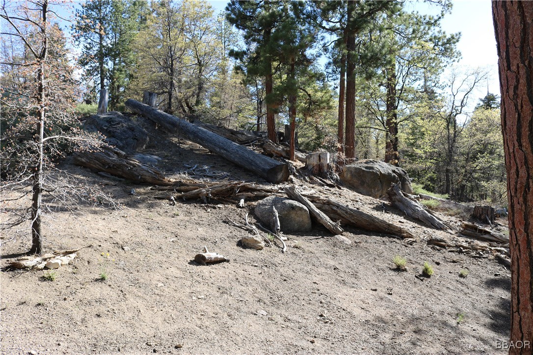 109 Mill Creek Road Big Bear Lake, CA 92315 - Photo 25 of 37