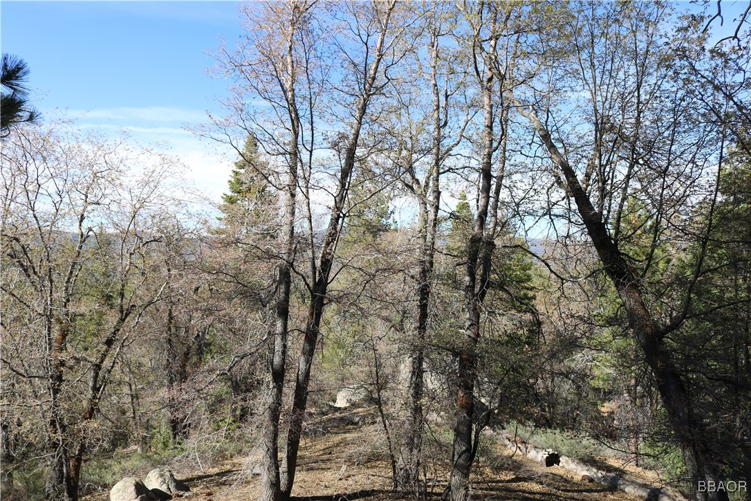 109 Mill Creek Road Big Bear Lake, CA 92315 - Photo 30 of 37