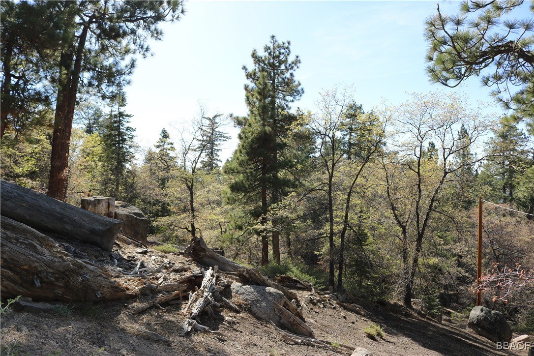 109 Mill Creek Road Big Bear Lake, CA 92315 - Photo 34 of 37