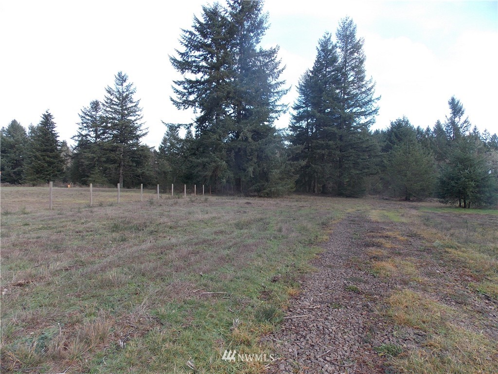 12910 Rainier Acres Road Southeast Rainier, WA 98576 - Photo 1 of 9 Gallery Image 1