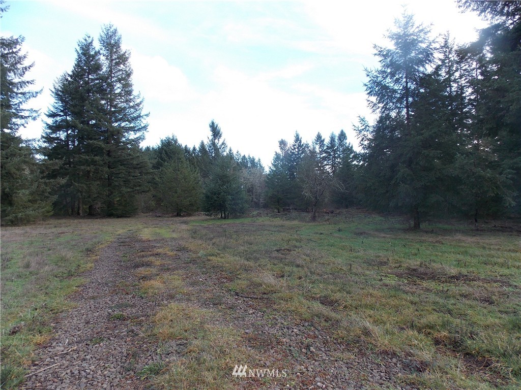 12910 Rainier Acres Road Southeast Rainier, WA 98576 - Photo 2 of 9 Gallery Image 2