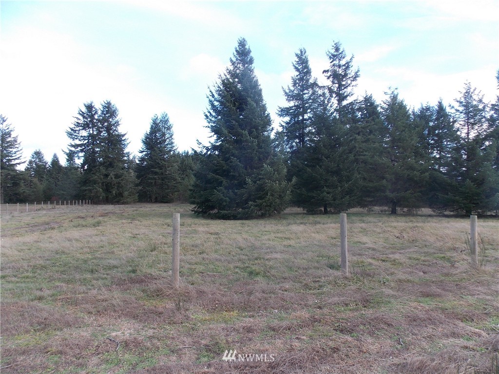 12910 Rainier Acres Road Southeast Rainier, WA 98576 - Photo 4 of 9 Gallery Image 4