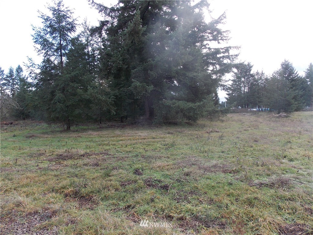 12910 Rainier Acres Road Southeast Rainier, WA 98576 - Photo 5 of 9 Gallery Image 5
