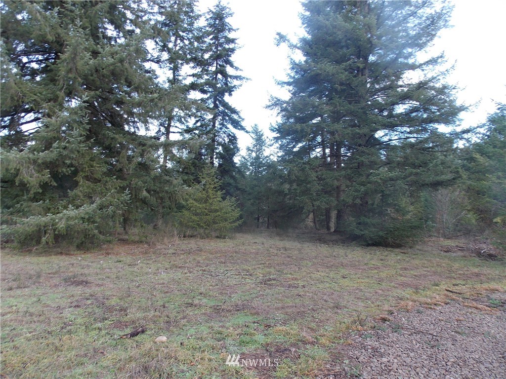 12910 Rainier Acres Road Southeast Rainier, WA 98576 - Photo 6 of 9 Gallery Image 6