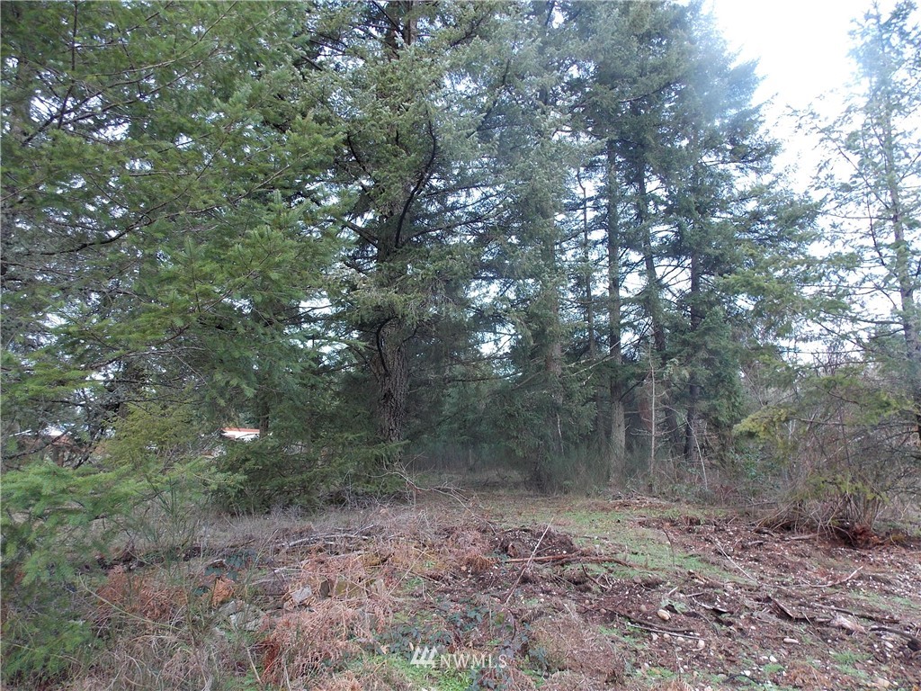 12910 Rainier Acres Road Southeast Rainier, WA 98576 - Photo 7 of 9 Gallery Image 7