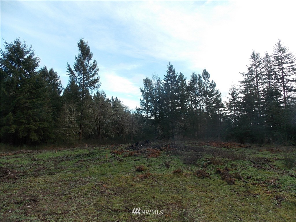 12910 Rainier Acres Road Southeast Rainier, WA 98576 - Photo 9 of 9 Gallery Image 9