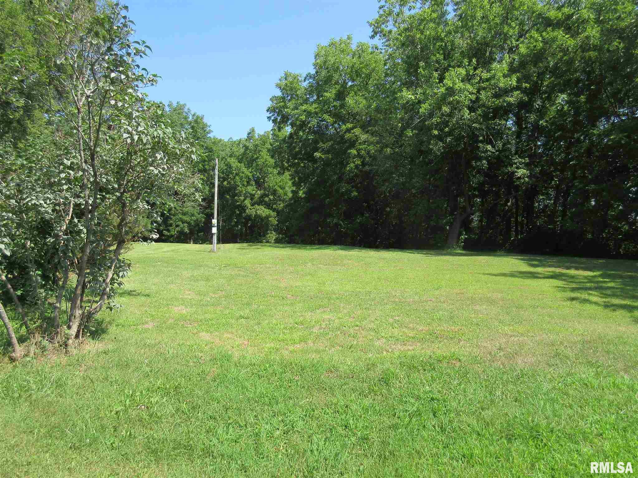 2919 Highway 150 Rio, IL 61472 - Photo 30 of 37