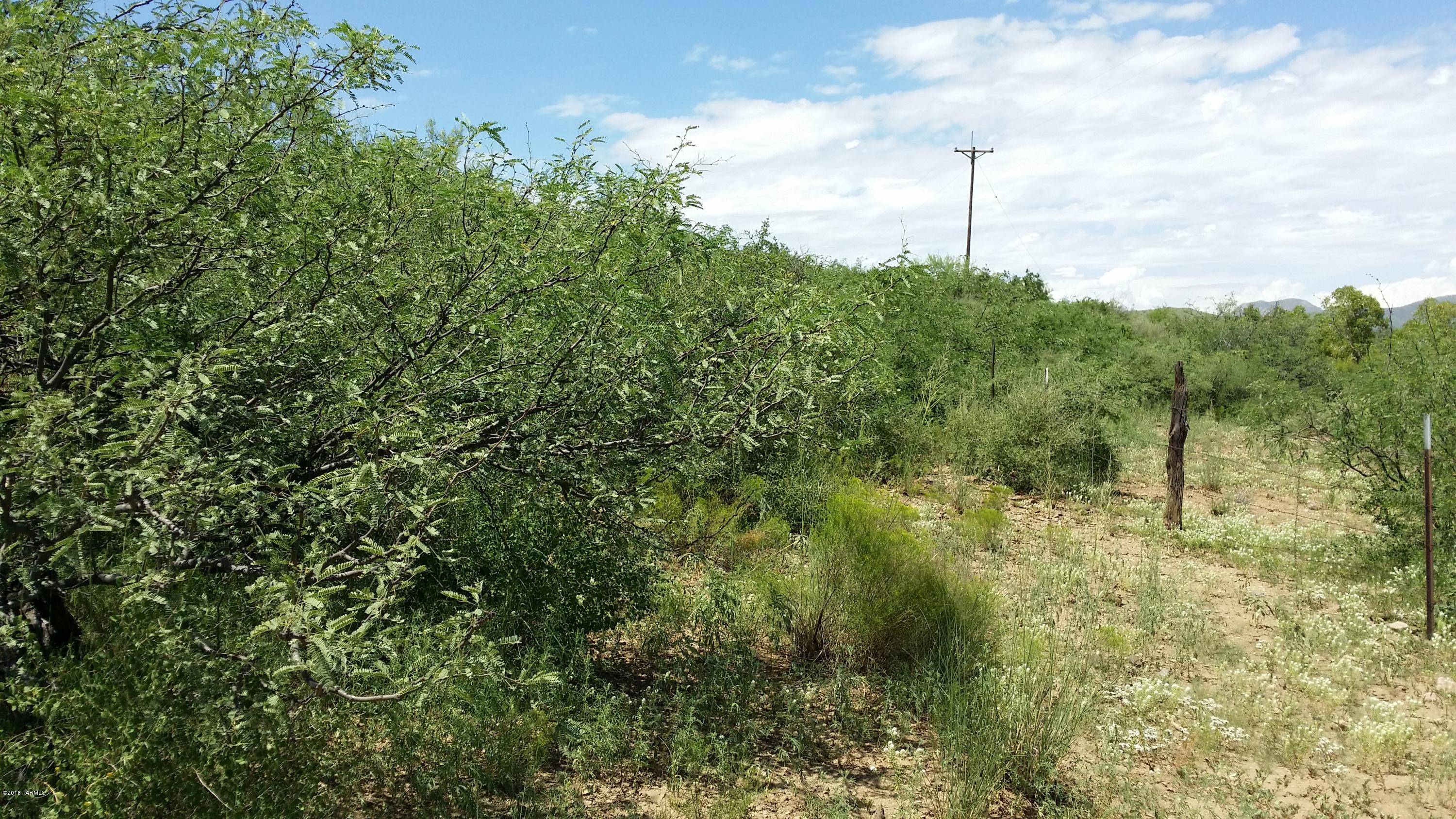 27.084-ac North Silver Creek Road Douglas, AZ 85607 - Photo 9 of 21