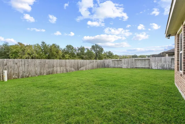 a view of a yard with an tree and wooden fence