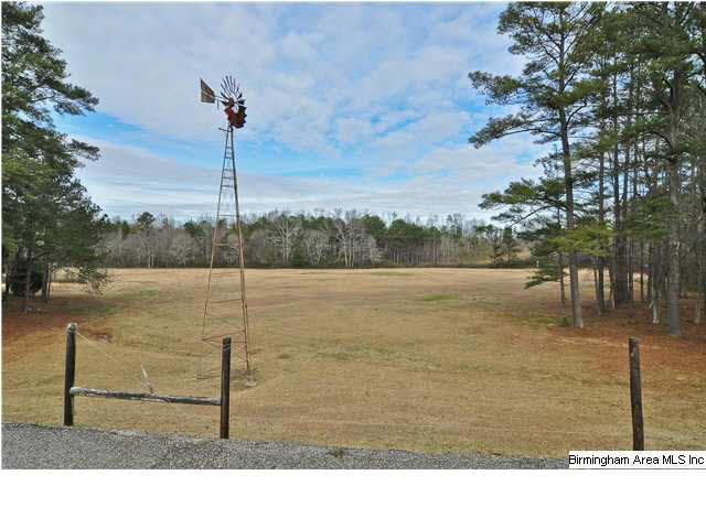 7621 Mack Hicks Road Pinson, AL 35126 - Photo 6 of 32