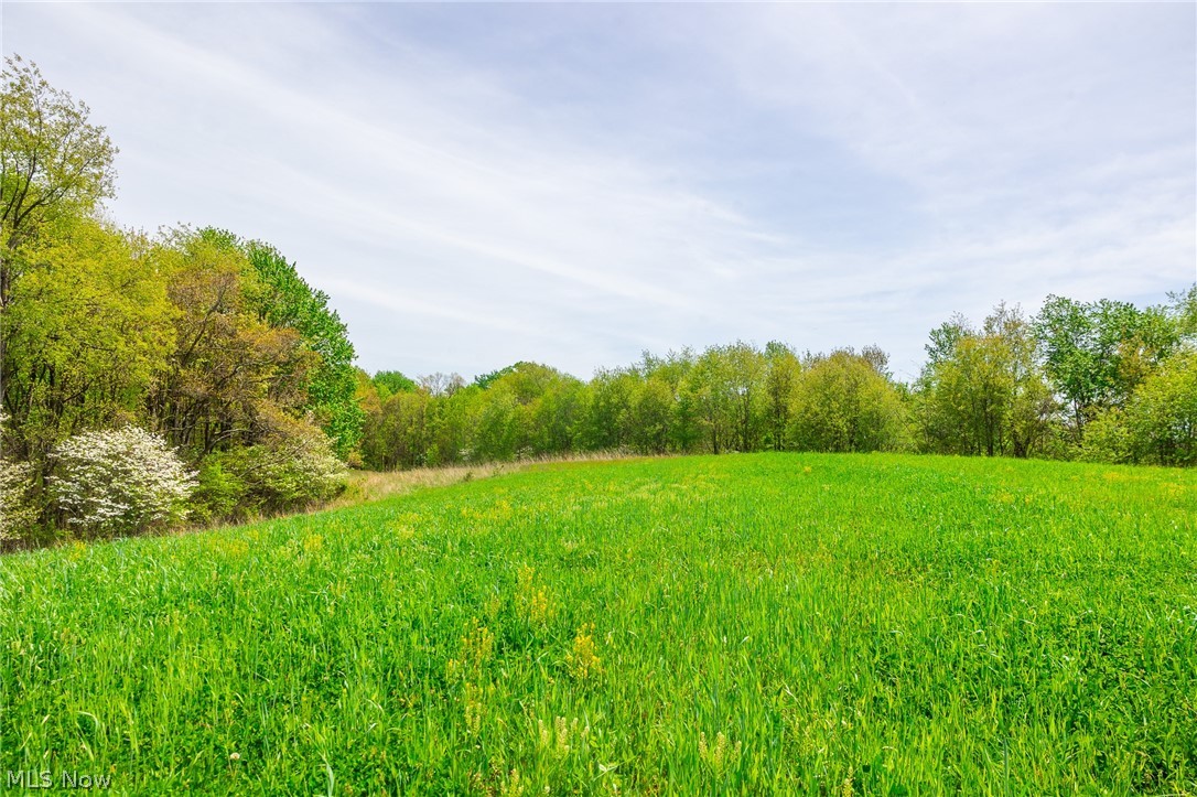 6268 Kings Ridge Road Newcomerstown, OH 43832 - Photo 10 of 46