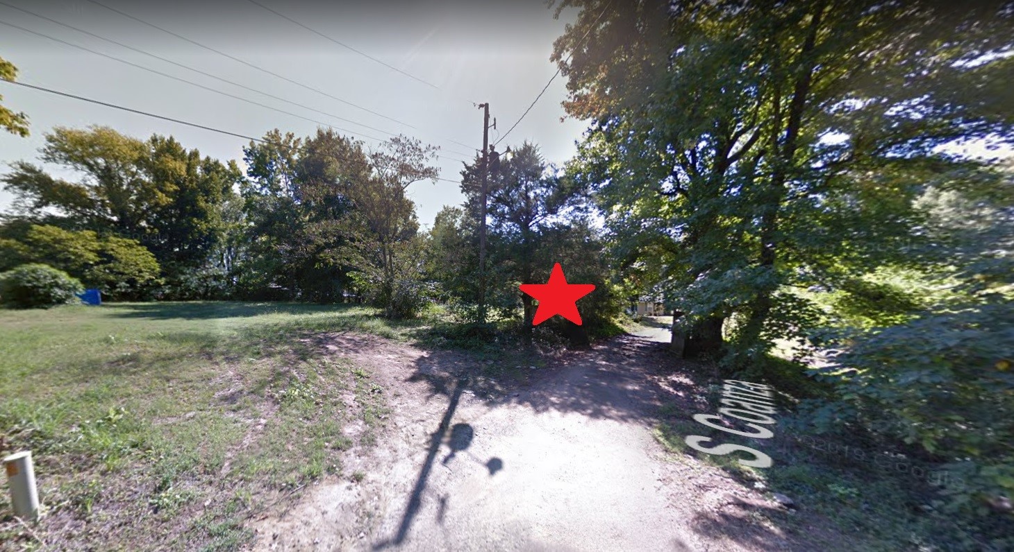 10 South Coanza Other, AR 72390 - Photo 3 of 3 a view of a yard with a tree in a yard