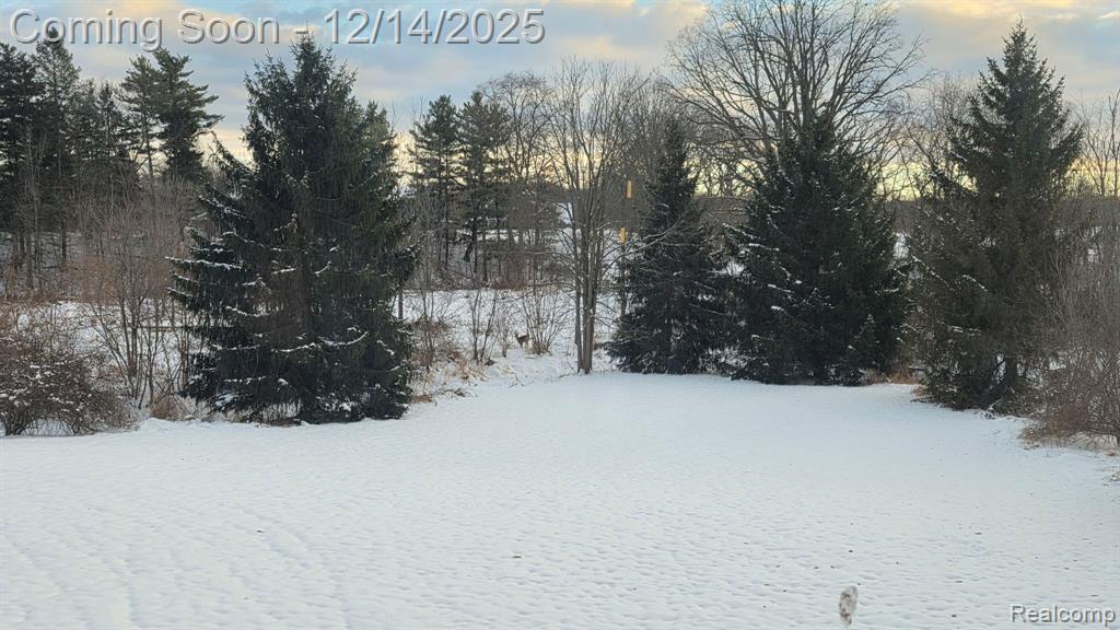 2245 West Cook Road Grand Blanc, MI 48439 - Photo 48 of 56