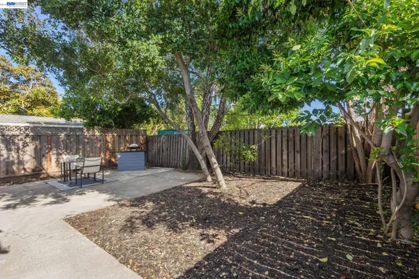 a chairs and a table in a backyard