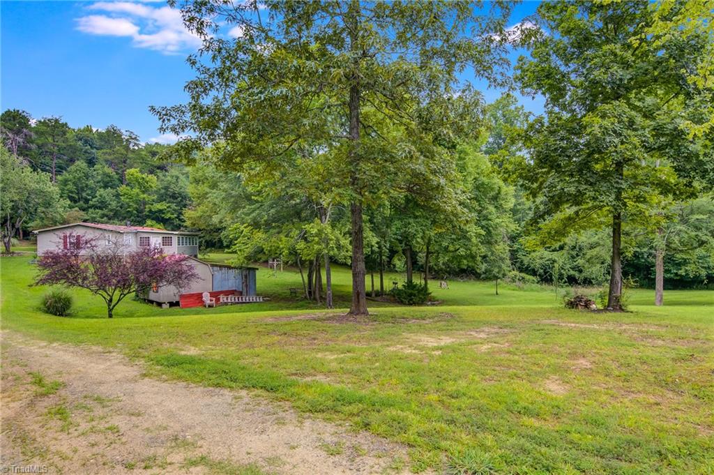 8254 Benaja Road Reidsville, NC 27320 - Photo 27 of 31 Gallery Image 27