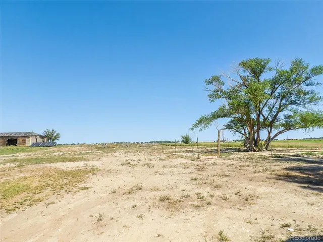 a view of a field with trees