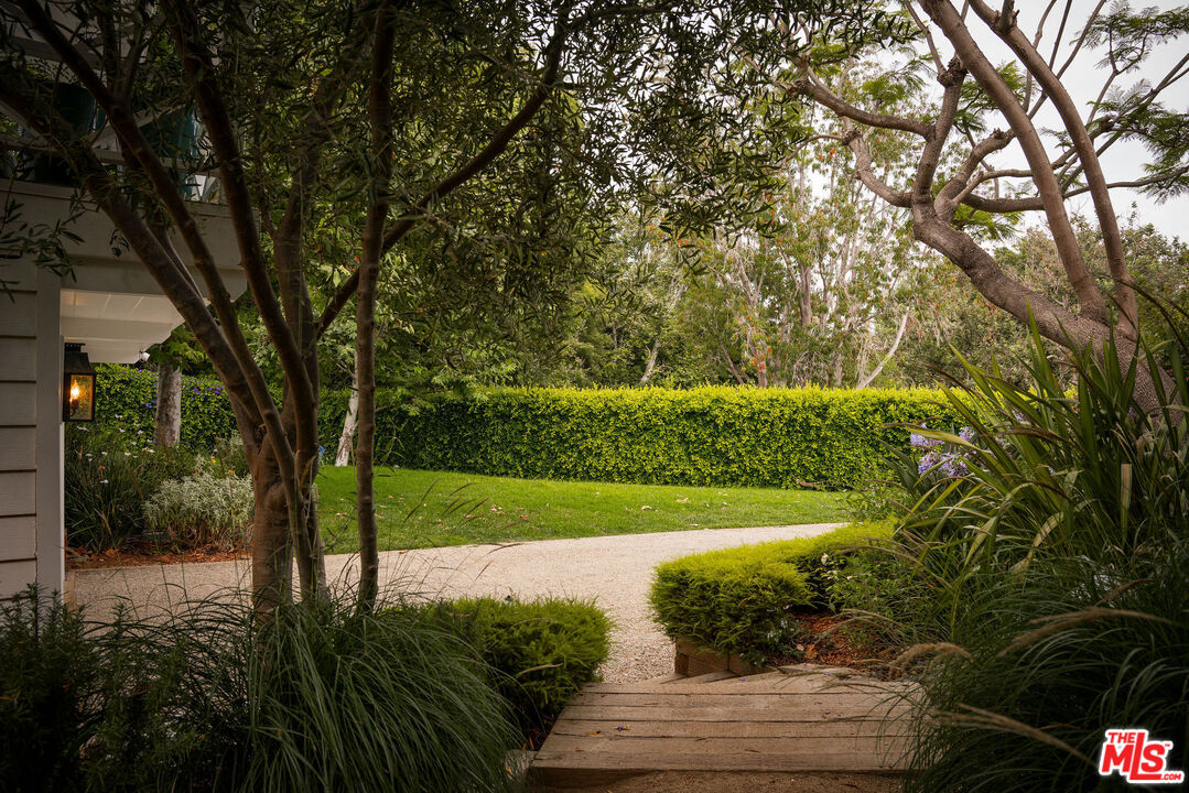 6456 Sycamore Meadows Drive Malibu, CA 90265 - Photo 24 of 29 a view of a backyard with large trees