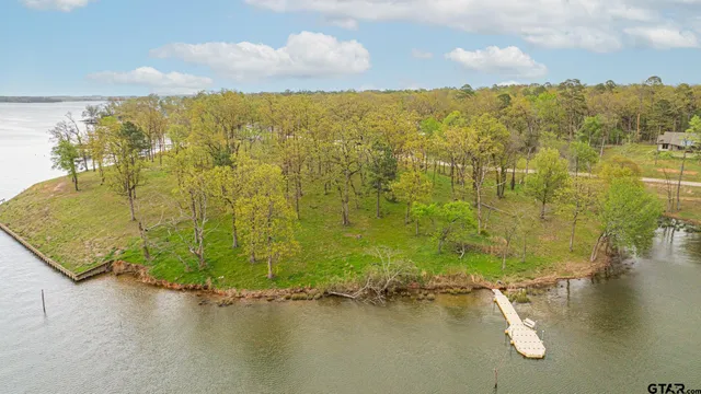 a view of a garden with an ocean
