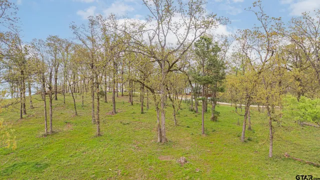 a view of a backyard with green space