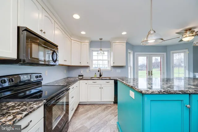 an aerial view of residential houses with outdoor space and trees