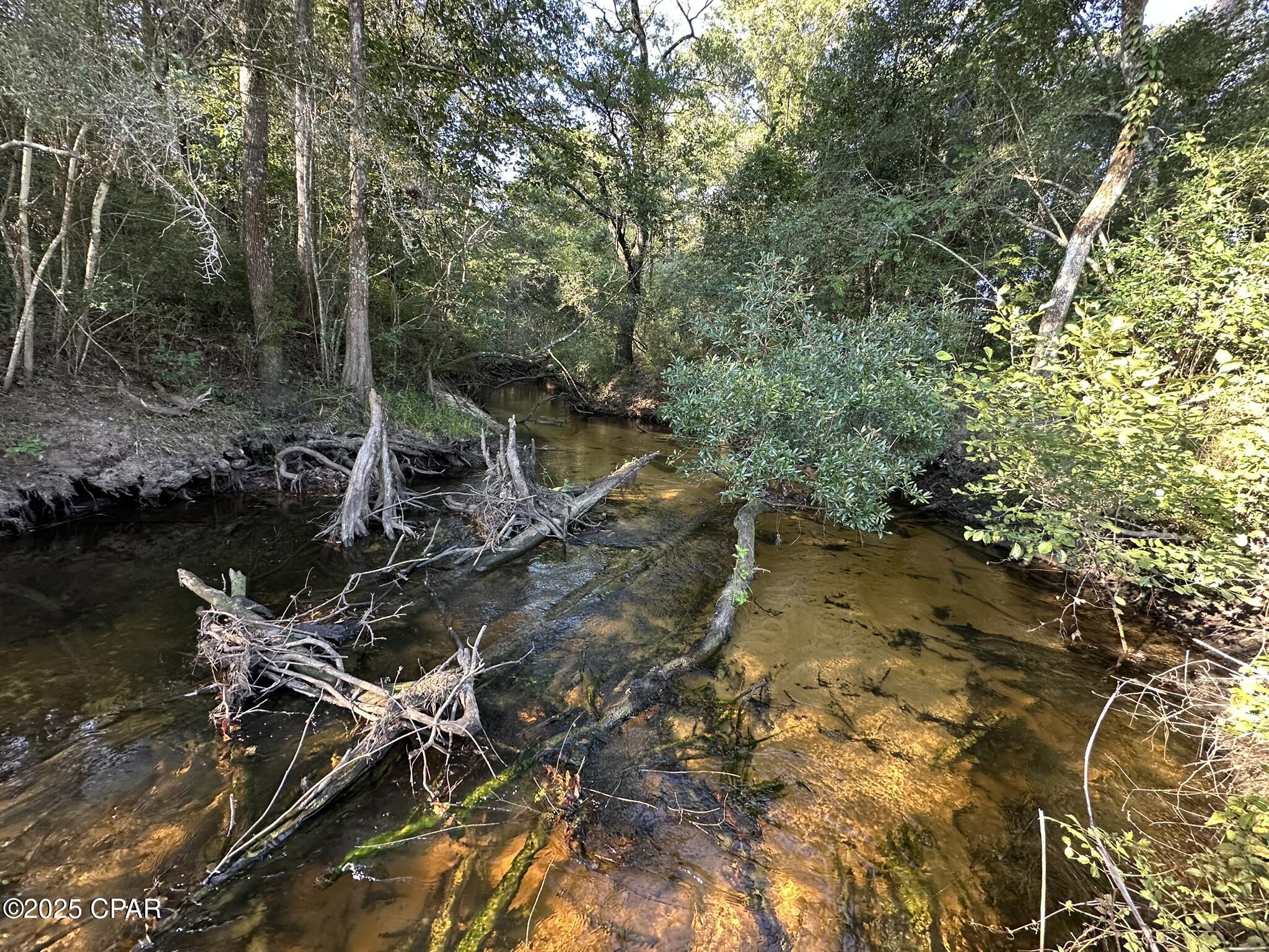 Tract#6201 Doyle Morgan Road DeFuniak Springs, FL 32433 - Photo 4 of 39