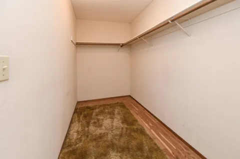 a swimming pool with some trees in the background