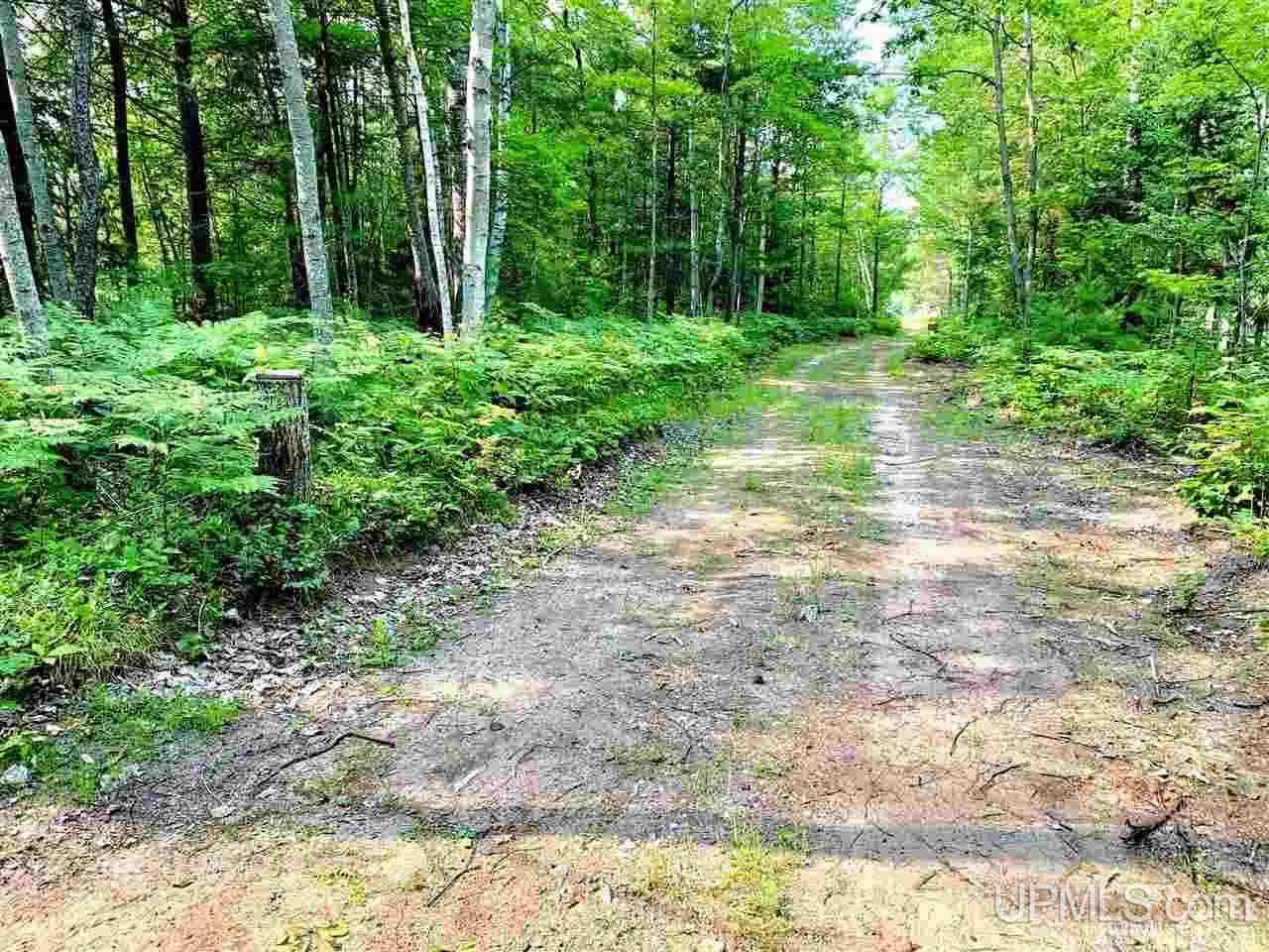 2005 East Co Road Little Lake, MI 49833 - Photo 41 of 48