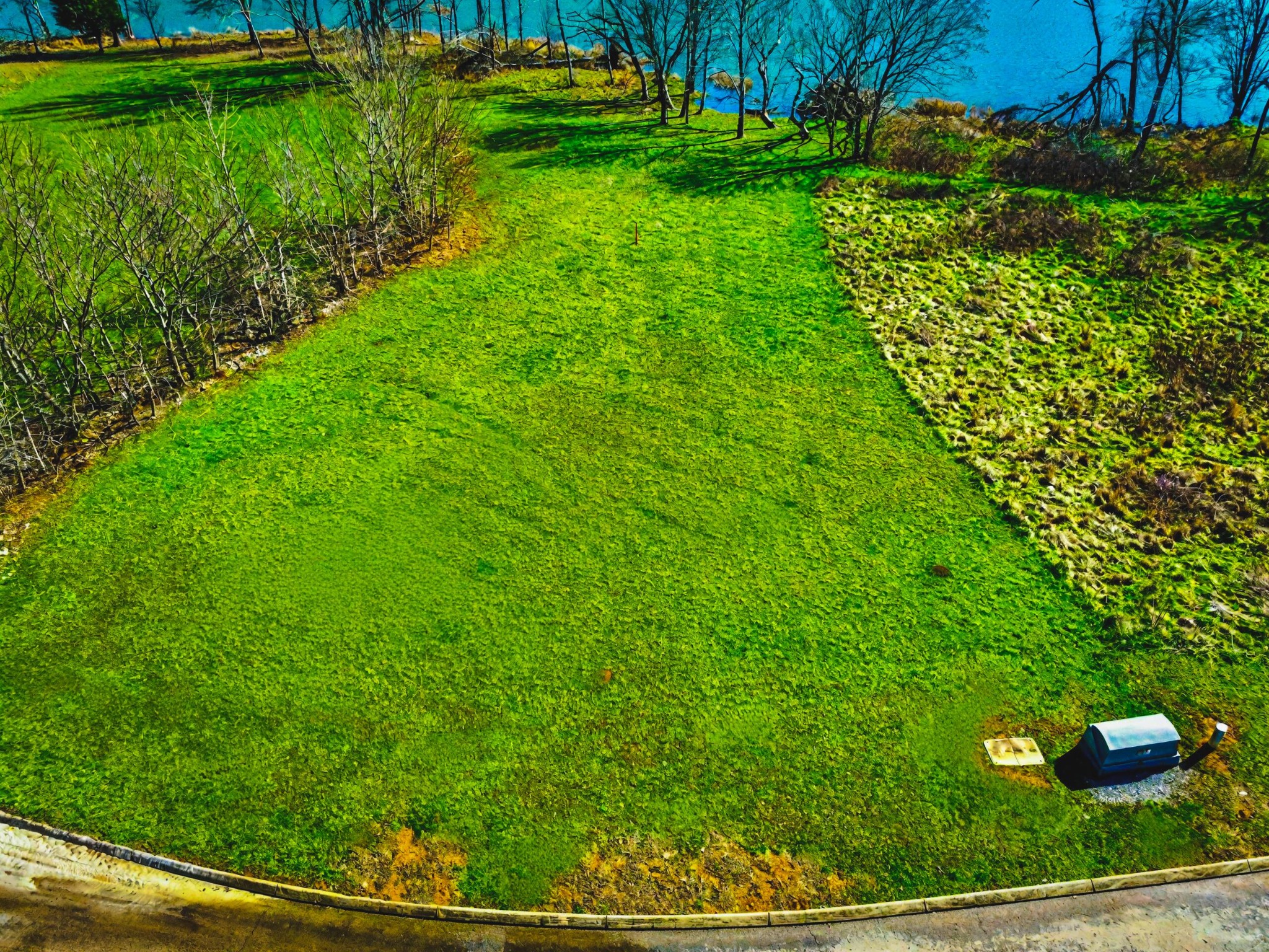 0 Edgewater Way Jasper, TN 37347 - Photo 6 of 22 a view of a yard with grass