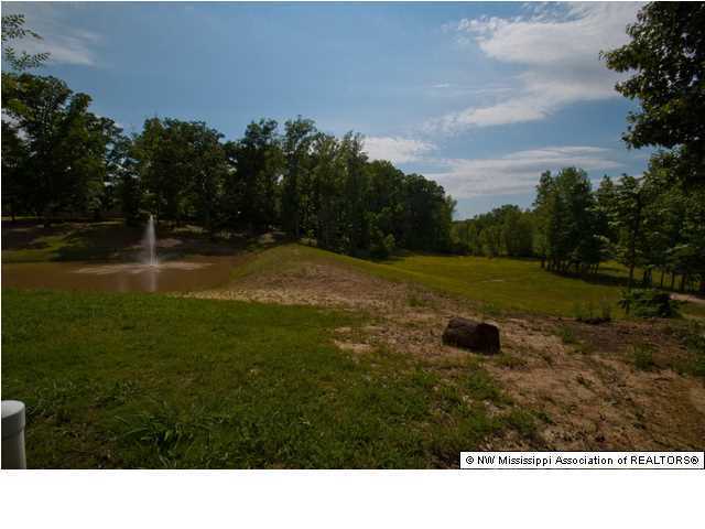 5285 Tchulahoma Road Southaven, MS 38671 - Photo 19 of 27 Additional Photo