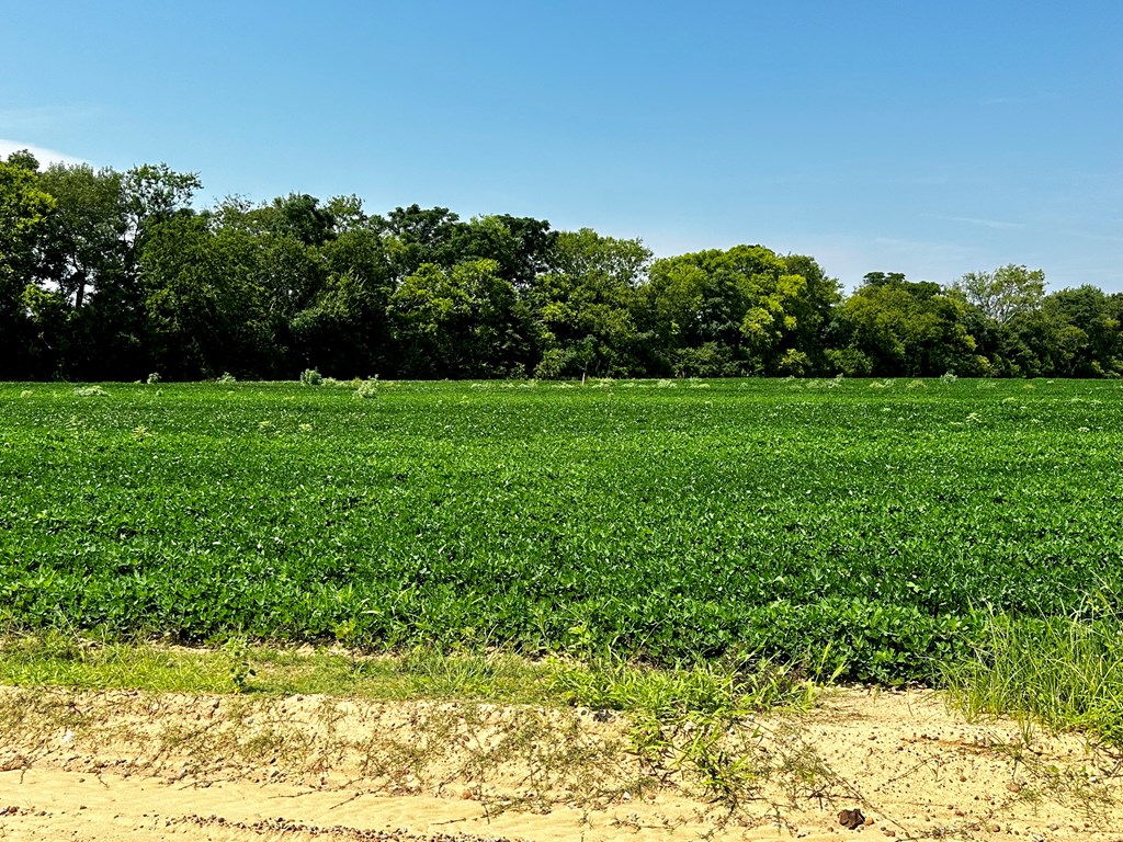 2.83-acres Burdeshaw Road Dothan, AL 36301 - Photo 8 of 11