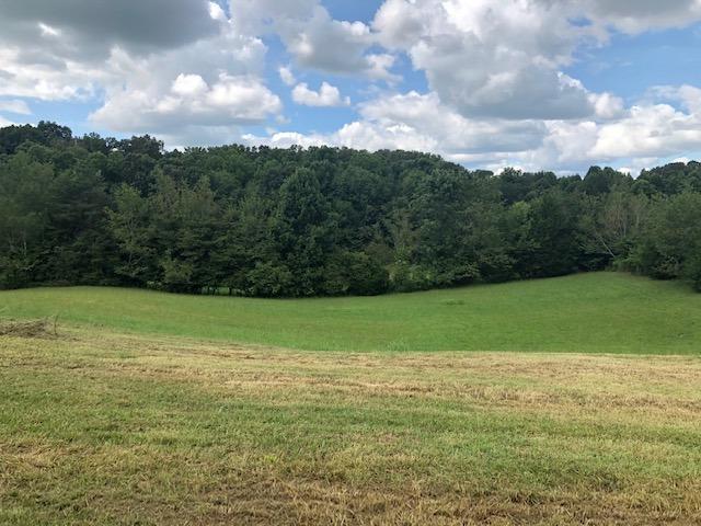 295 Browning Road Telford, TN 37690 - Photo 5 of 17 IMG_1647