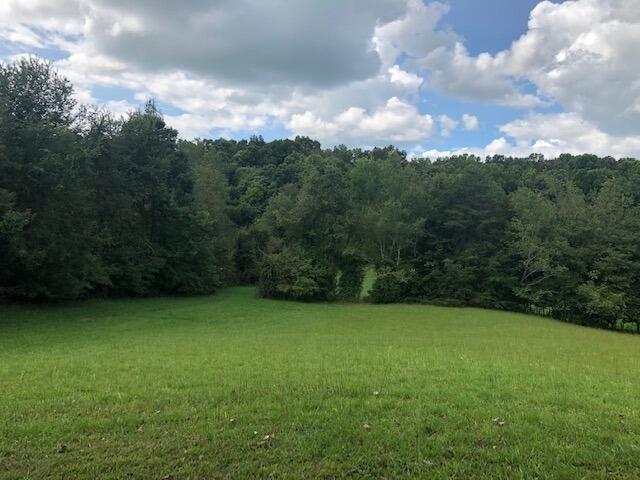 295 Browning Road Telford, TN 37690 - Photo 6 of 17 IMG_1644