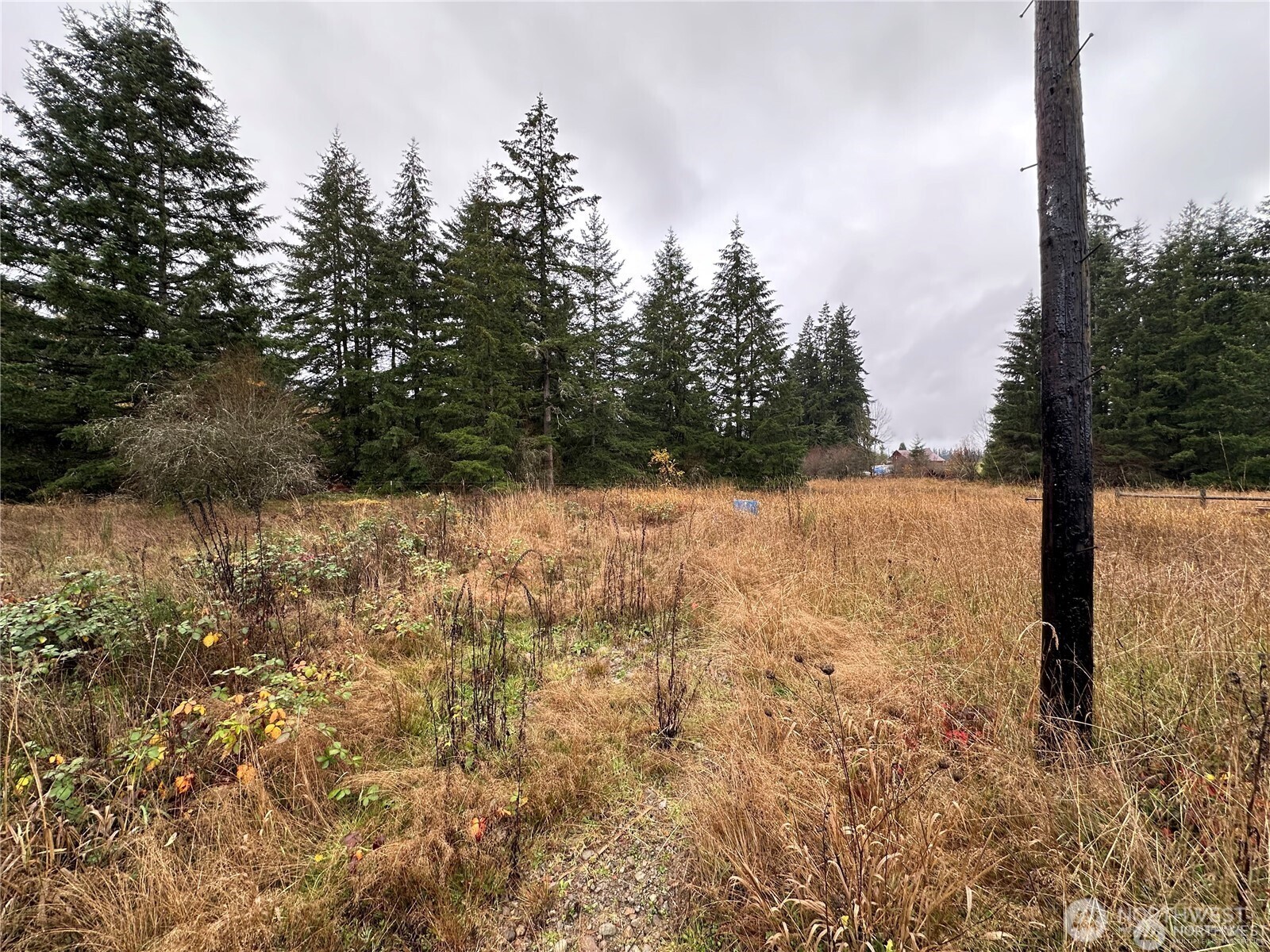 144 West Avery Road, Unit A Winlock, WA 98596 - Photo 5 of 6 a view of yard covered with snow in front of house