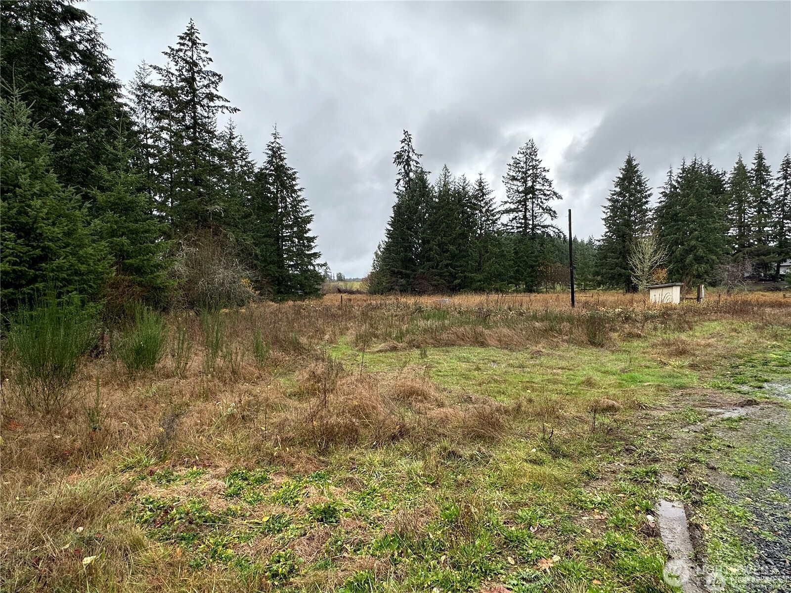 144 West Avery Road, Unit A Winlock, WA 98596 - Photo 6 of 6 a view of a lake view with houses in background