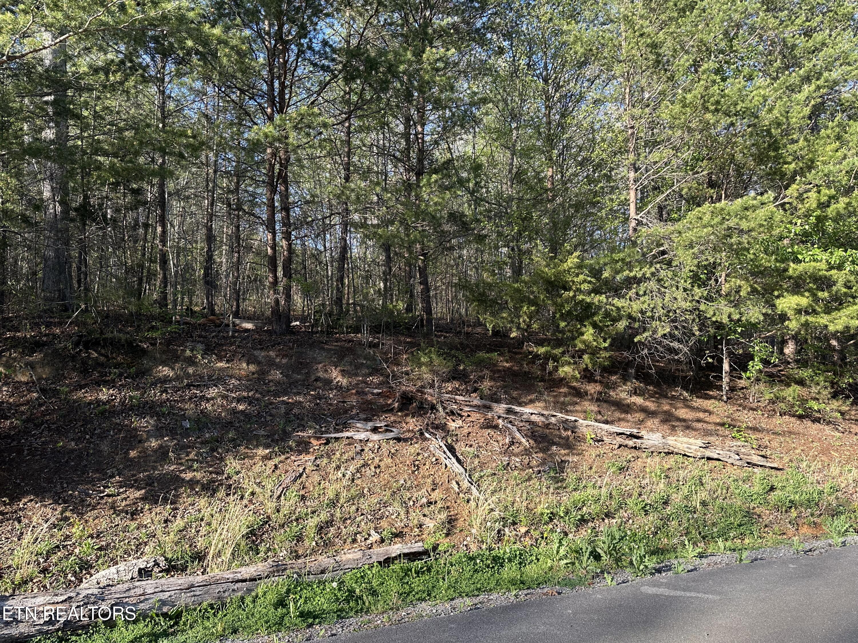 Lot 2 Timber Trail Newport, TN 37821 - Photo 2 of 6 IMG_9098
