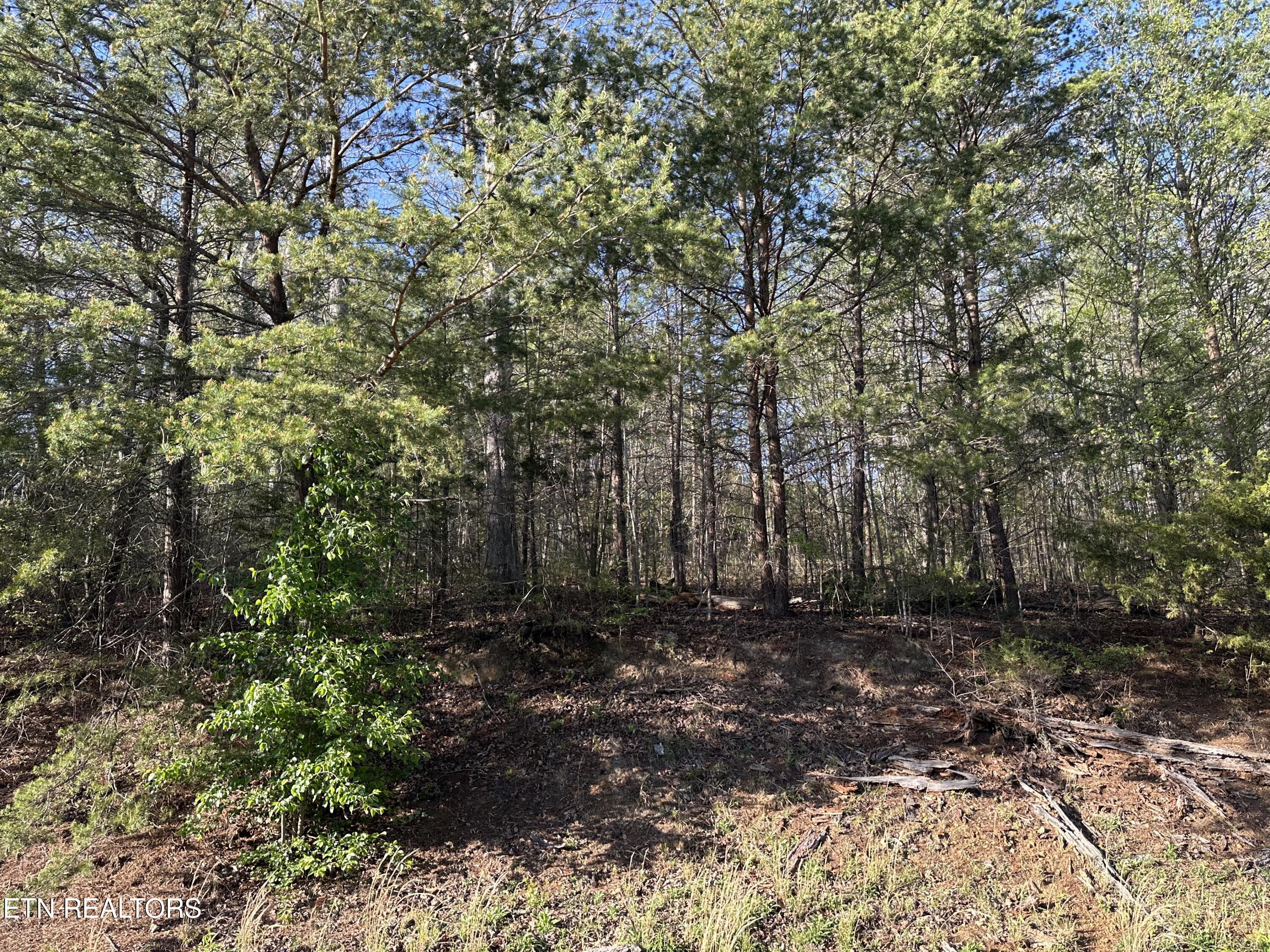 Lot 2 Timber Trail Newport, TN 37821 - Photo 4 of 6 IMG_9096