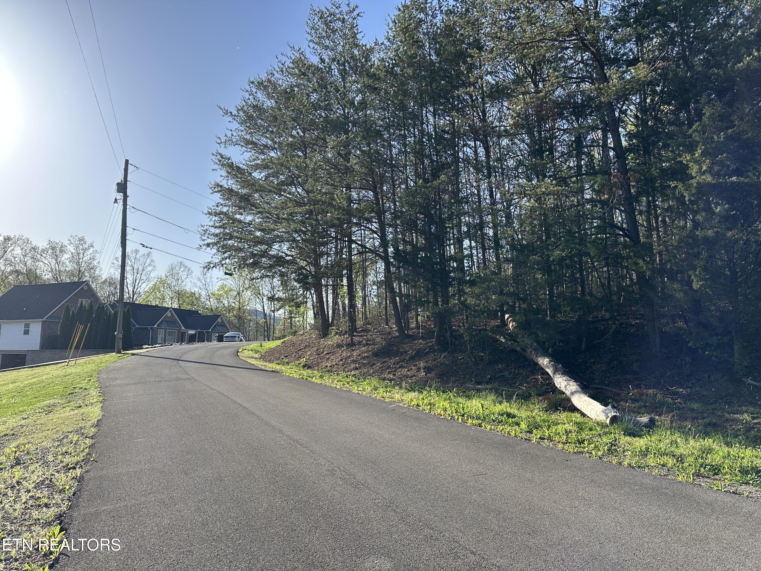 Lot 2 Timber Trail Newport, TN 37821 - Photo 5 of 6 IMG_9101