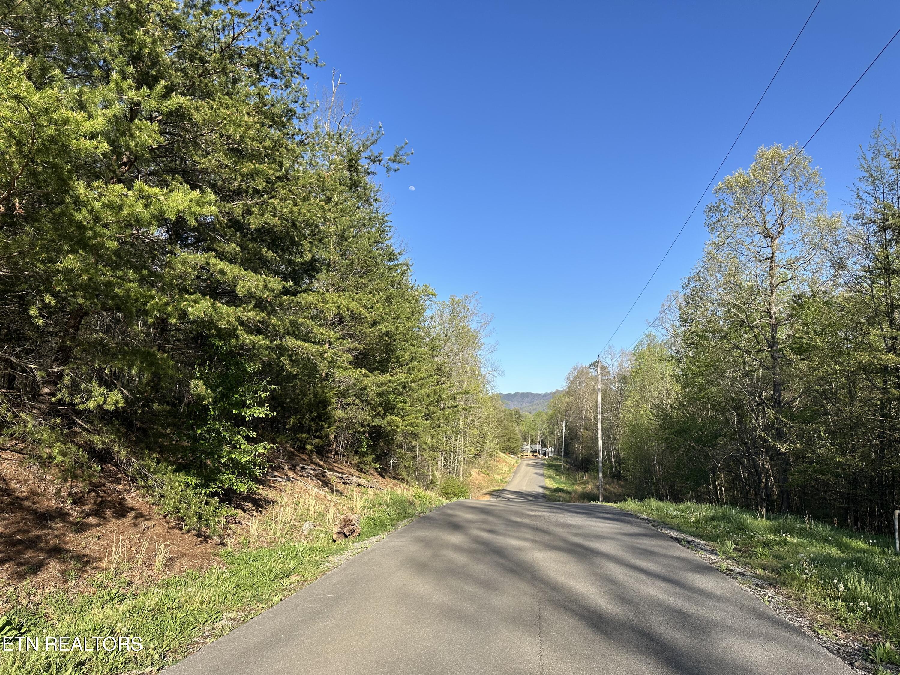 Lot 2 Timber Trail Newport, TN 37821 - Photo 6 of 6 IMG_9095