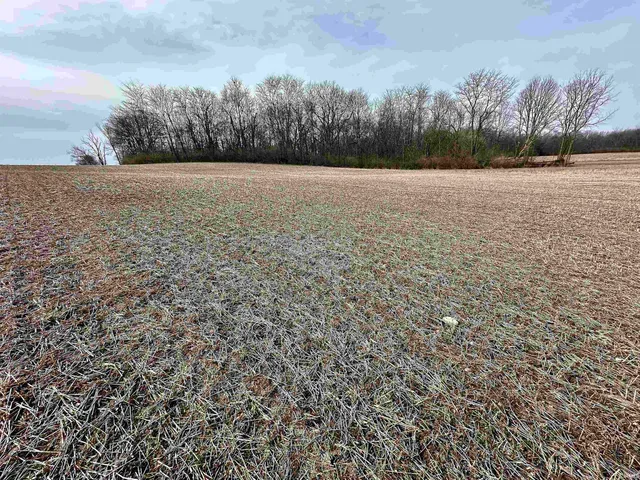 $99,500 | 0 South Burlington Drive, Muncie, IN 47302