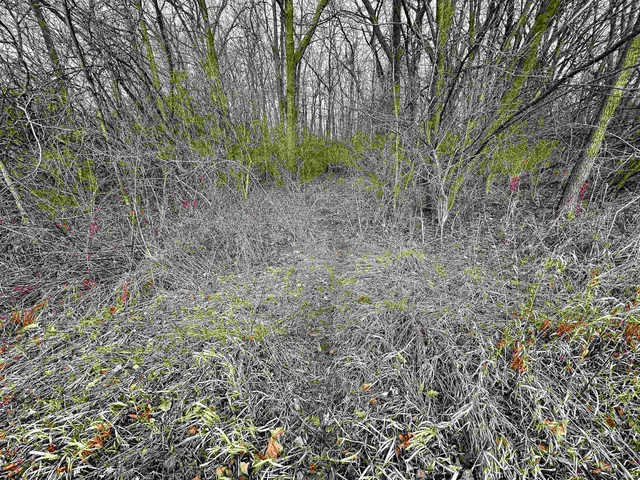 $99,500 | 0 South Burlington Drive, Muncie, IN 47302