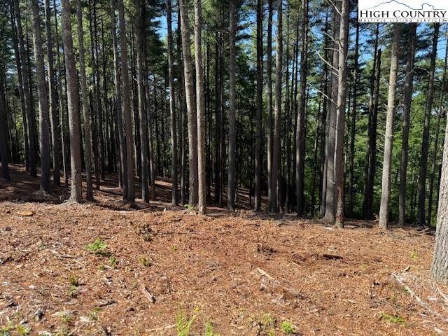 Lot 37 Smoke Rise Path West Jefferson, NC 28694 - Photo 13 of 19 a row of trees with yard in front of it