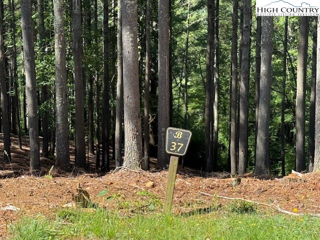 Lot 37 Smoke Rise Path West Jefferson, NC 28694 - Photo 2 of 19 a view of a entrance gate of the house