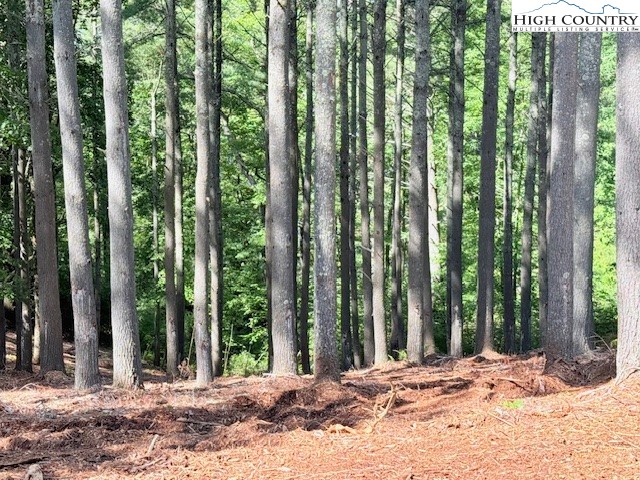 Lot 37 Smoke Rise Path West Jefferson, NC 28694 - Photo 4 of 19 a view of large trees with yard in back