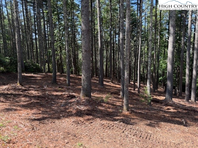 Lot 37 Smoke Rise Path West Jefferson, NC 28694 - Photo 6 of 19 a backyard of a house with lots of tall trees